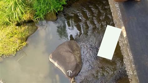 Breaking News Mayat Pria Tanpa Identitas Ditemukan Di Sungai Sawit