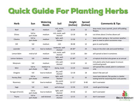 Simple Tips For Growing Herbs In Container Gardens Bruce Bradley