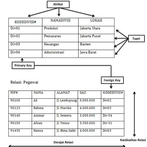 Contoh Tabel Database Relasional Model Data Dan Perancangan Sistem