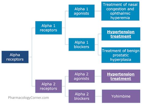 Alpha Blockers And Agonists Pharmacology Nursing