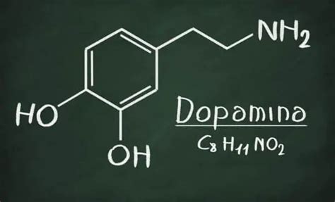 que es la dopamina y para que sirve actualizado mayo 2023 porn sex picture