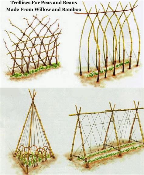 Unique shaped circle and square iron trellis. Bamboo trellis ideas for Peas and Beans | Space-saving ...