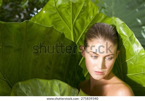 Naked Woman Emerging Giant Leaves Stock Photo Shutterstock