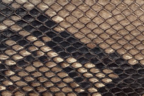 Premium Photo Genuine Snakeskin Leather Texture Background Closeup