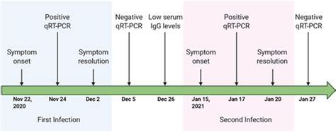 Timeline Of Symptom Onset Patient Diagnosis And Recovery Download Scientific Diagram