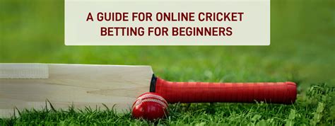 A Guide For Online Cricket Betting For Beginners Cbtf Tips See