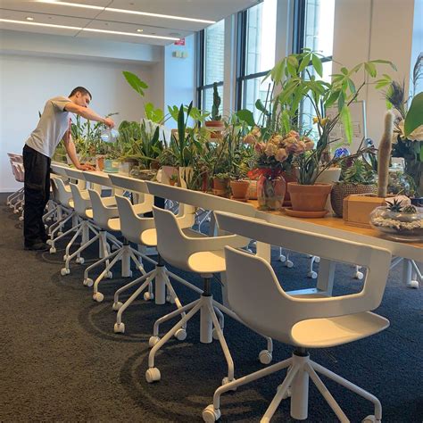 Whats Become Of Office Plants Abandoned In The Coronavirus Shutdown Wsj