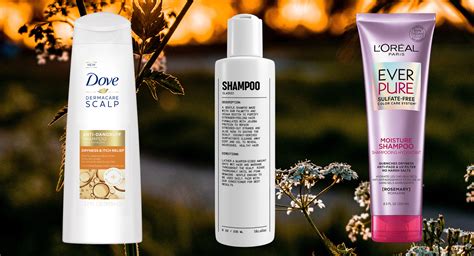 The Best Shampoos For Dry Scalp Orlando Magazine