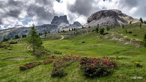 Dolomiti Bellunesi | Natural landmarks, Landmarks, Travel