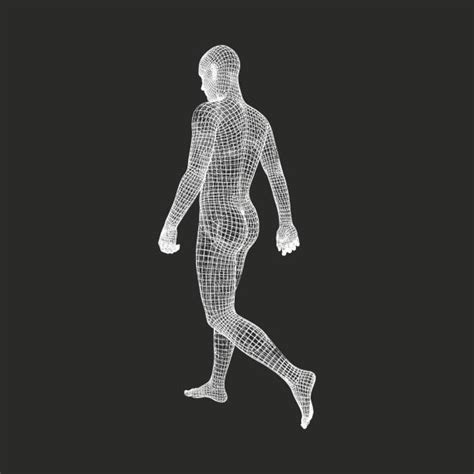 Human Body Wireframe Stock Photos Pictures And Royalty Free Images Istock