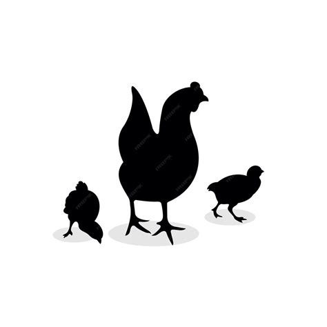 premium vector chicken silhouette design vector