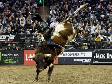 Nyc Bull Riding Rodeo Cruel And Should Be Banned Advocates Say