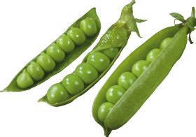 Green Peas Pnghunter