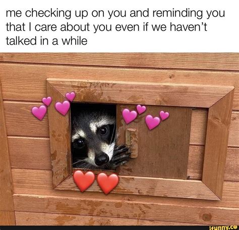 Wholesome Meme Me Checking Up On You And Reminding You That I Care