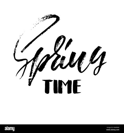 Handwritten Spring Design Spring Time Hand Drawn Calligraphy Letters