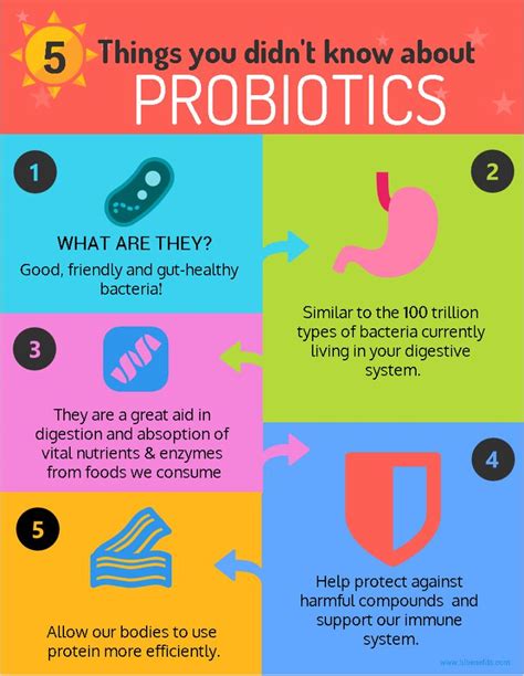 find out the benefits of probiotics probiotics probiotic benefits best probiotic foods