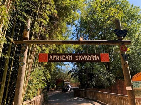 Zoo Atlanta Grand New View — African Savanna And Zambezi Elephant
