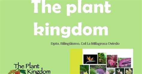 Milaenglish Blog The Plant Kingdom