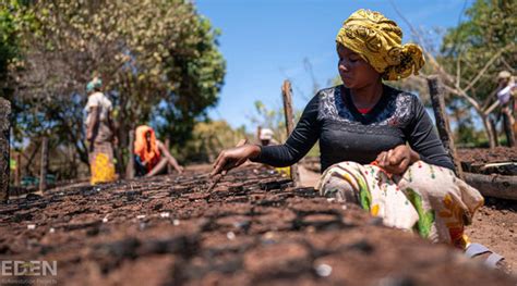 Eden Reforestation Projects Were Now A Forest Level Partner