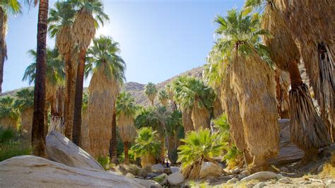 Indian Canyon In Palm Springs California Expedia