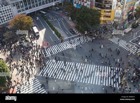 Zebra Crossing In Japan Hi Res Stock Photography And Images Alamy
