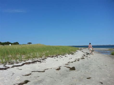 Monomoy National Wildlife Refuge National Wildlife Refuge Wildlife National