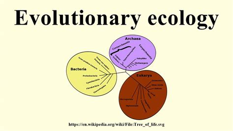 ecology and evolution