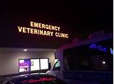 Pictures of Emergency Veterinary Hospital