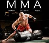 Photos of Mixed Martial Arts Styles Fighting