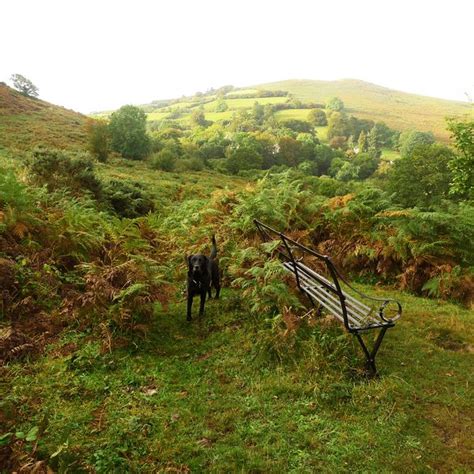 Myth And Moor Daybreak In The Devon Hills