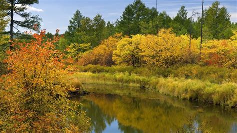 Download Wallpaper 1600x900 Autumn River Trees Bushes Reflection