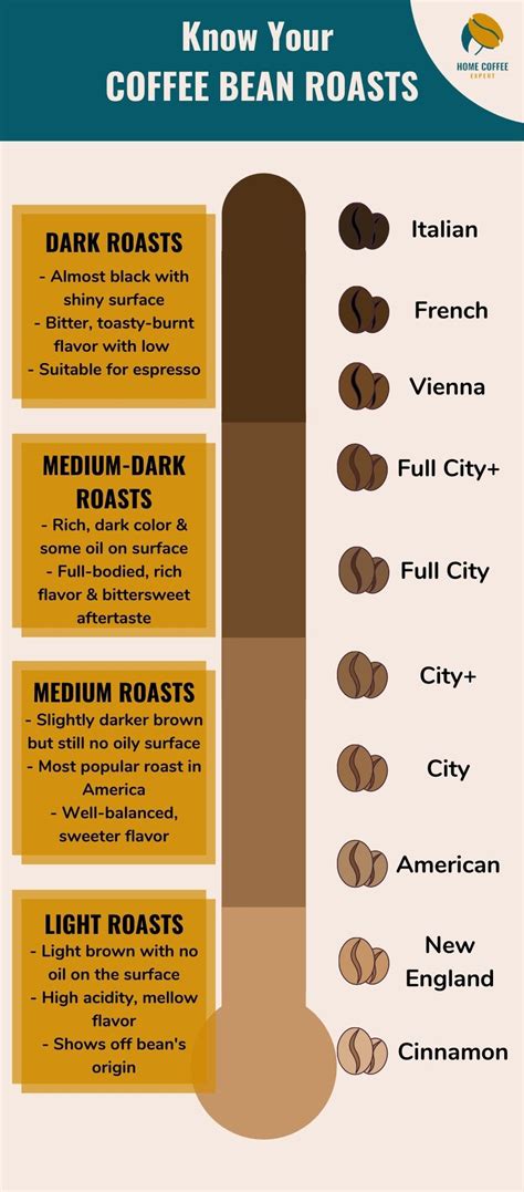 Ultimate Guide To Coffee Bean Roasts Which One Is Best