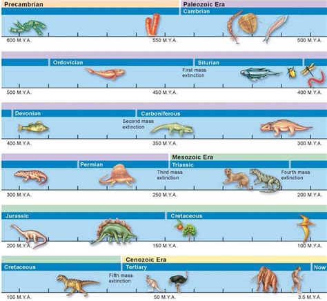 Figure 201 An Evolutionary Timeline