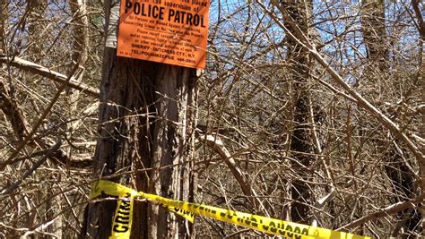 Remains Apparently Human Found In Patterson Woods Cops Say