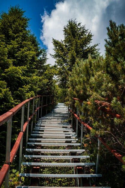 Premium Photo Vertical Shot Of A Boardwalk Surrounded By Greenery In