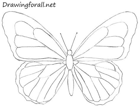 See more ideas about butterfly drawing, drawings, butterfly. How to Draw a Butterfly for Beginners | Drawingforall.net