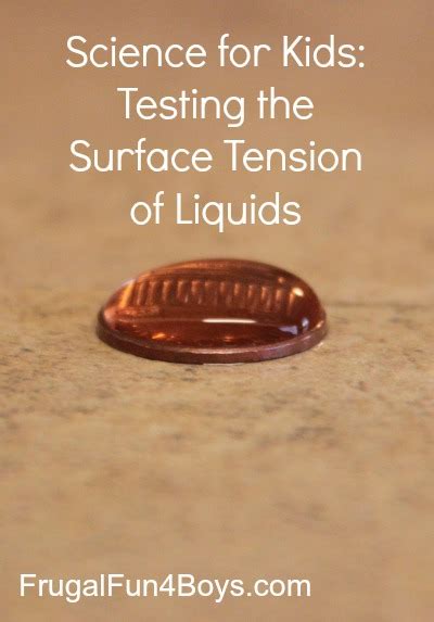 Science Experiment For Kids Testing The Surface Tension Of Liquids