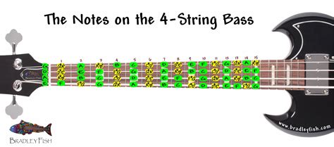 String Bass Guitar Notes