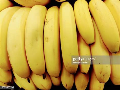 Banana Ripening Photos And Premium High Res Pictures Getty Images