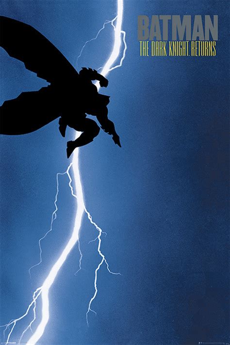 Batman The Dark Knight Returns Poster Sold At