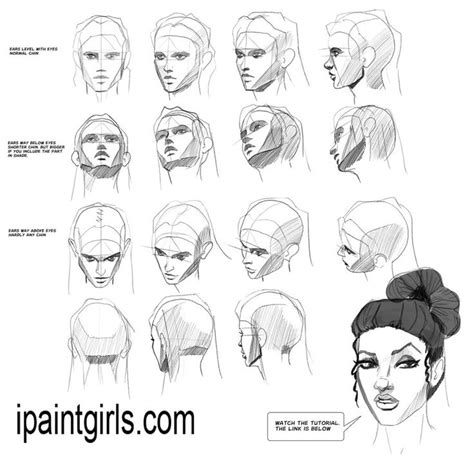 A Womans Head With Various Hair Styles