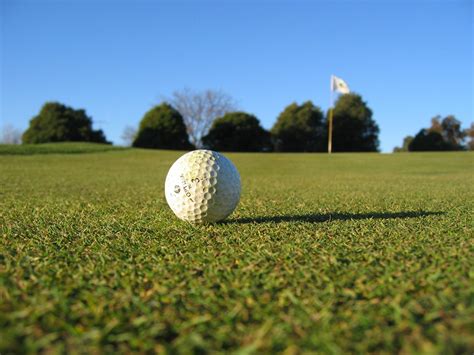 Golf Ball On The Grass Free Photo Download Freeimages