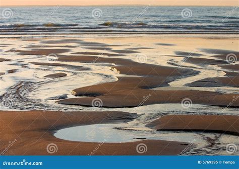 Low Tide Stock Image Image Of Stream Sunset Sand Evening 5769395