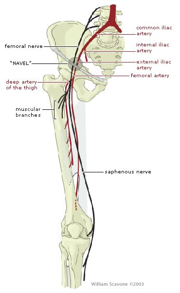 What Is Femoral Neuropathy Neuropathy And Hiv