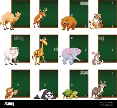 Blank Chalkboard With Wild Animals Stock Vector Image And Art Alamy