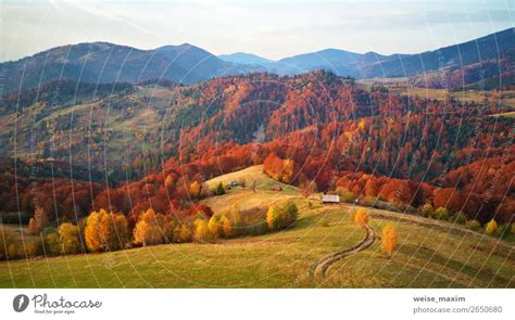 Mountain Autumn Landscape With Meadow And Colorful Forest A Royalty
