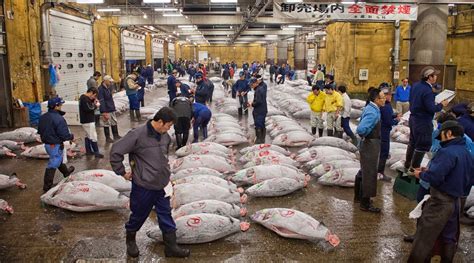 Experience Photographing The Tokyo Fish Market Before History