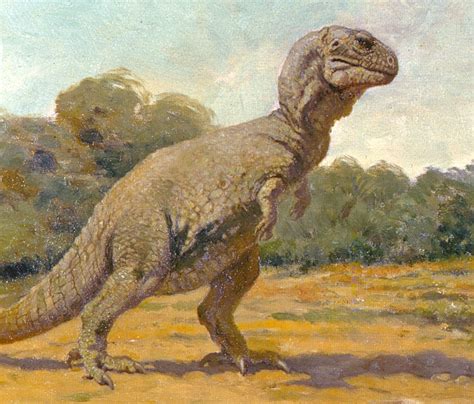 Amnh Tyrannosaurus1 1000x853 Dinosaur Art Prehistoric Wildlife