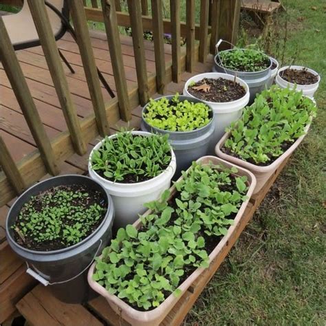 Creative Diy Patio Ideas For Vegetable Gardening In Pots My Desired