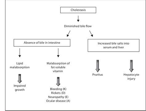 Diagnosis Of Neonatal Cholestasis Semantic Scholar